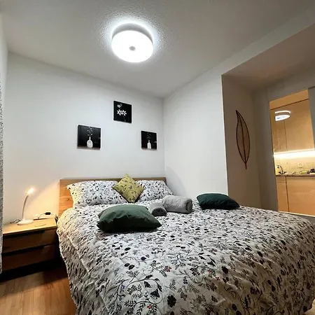 Modern 2br For Up To 6 Wef Exclusive Platz & Promenad ダヴォス・プラッツ