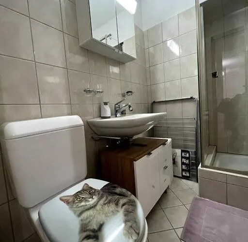 Appartement Modern 2br For Up To 6 Wef Exclusive Platz & Promenad *